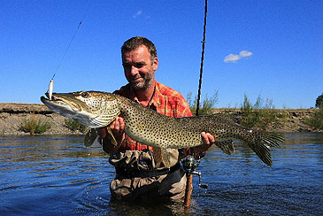 613_Olivier Portrat_Amur Pike_Esox reichertii.jpg 613_Olivier Portrat_Amur Pike_Esox reichertii.jpg
